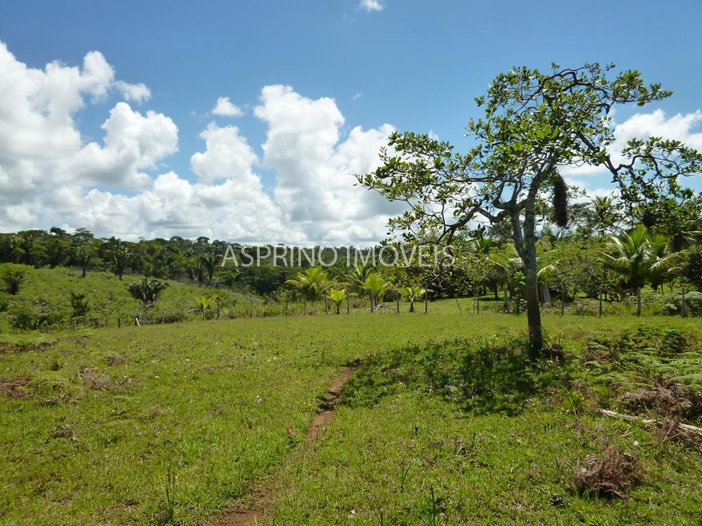 Fazenda, 183 hectares - Foto 11