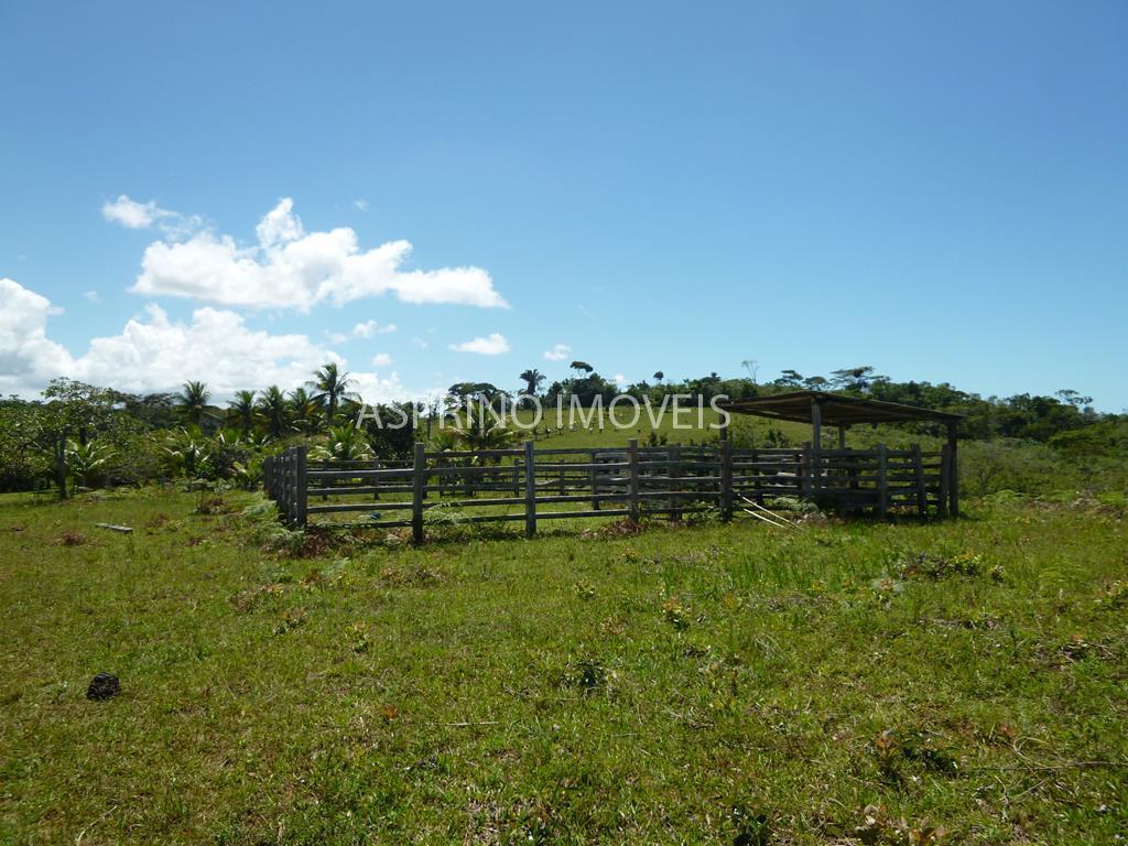 Fazenda, 183 hectares - Foto 9