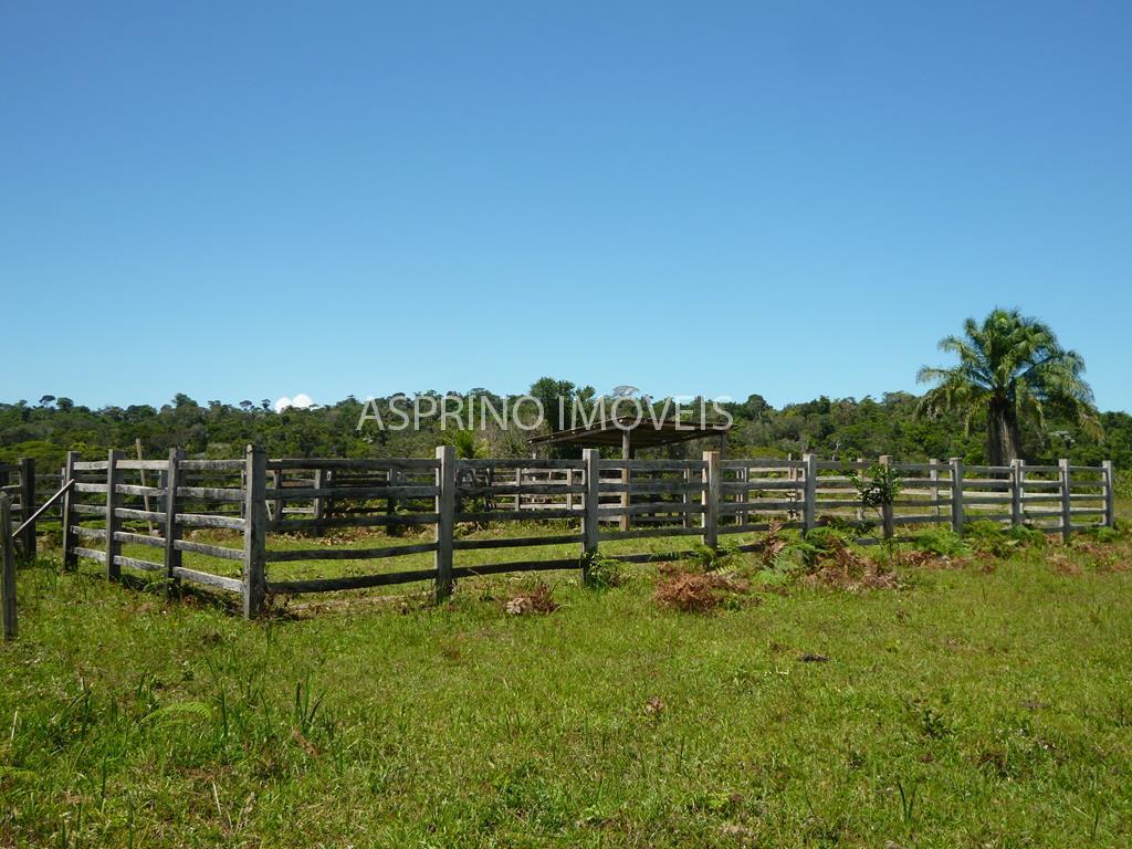 Fazenda, 183 hectares - Foto 10