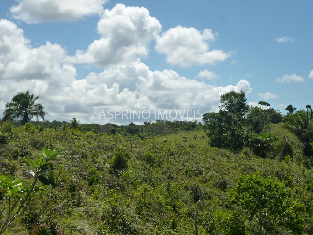 Fazenda, 183 hectares - Foto 13