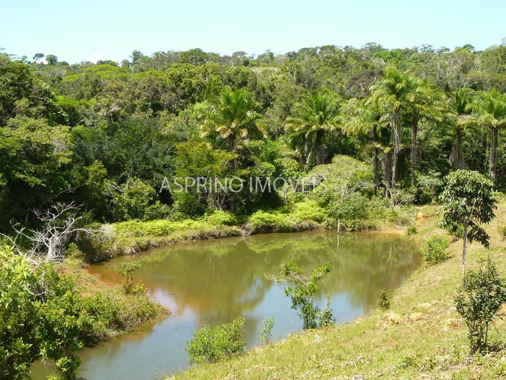 Fazenda, 183 hectares - Foto 7