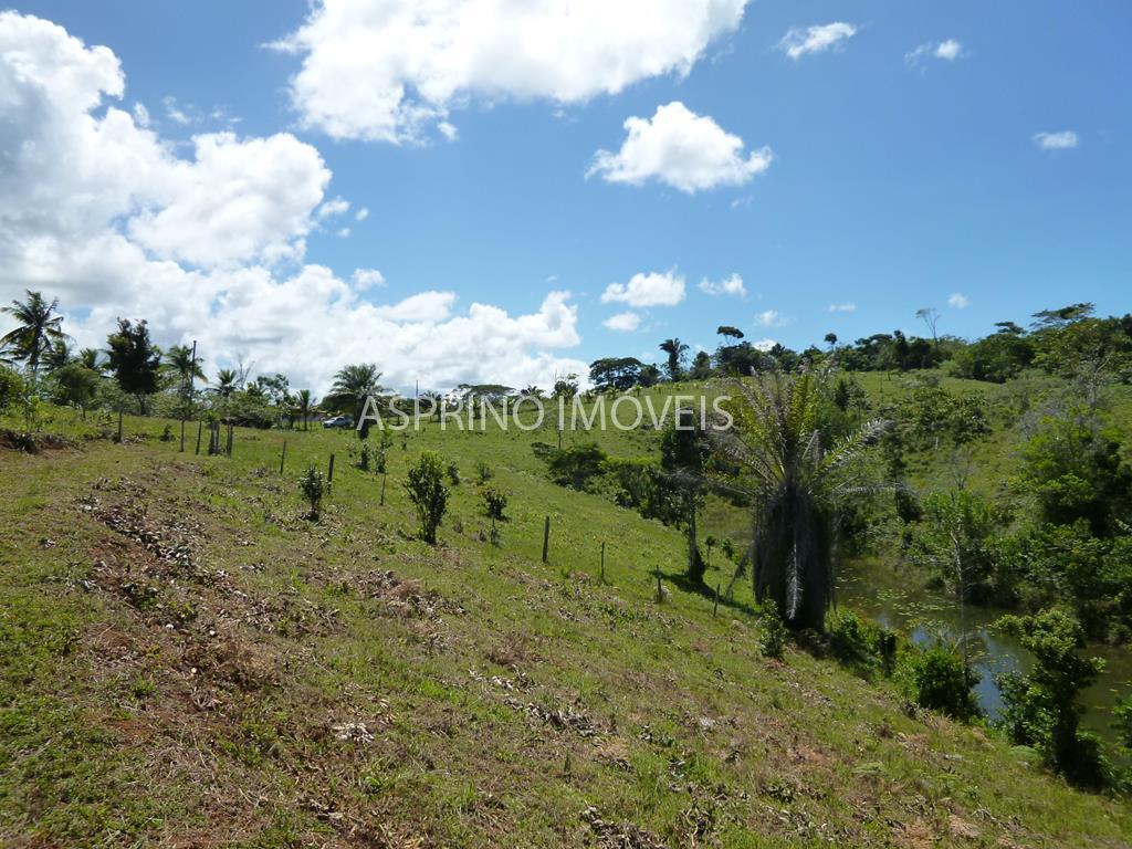 Fazenda, 183 hectares - Foto 14
