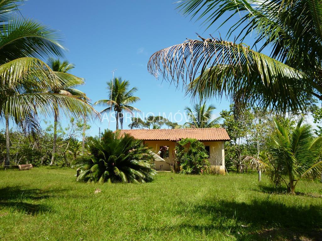 Fazenda, 183 hectares - Foto 18