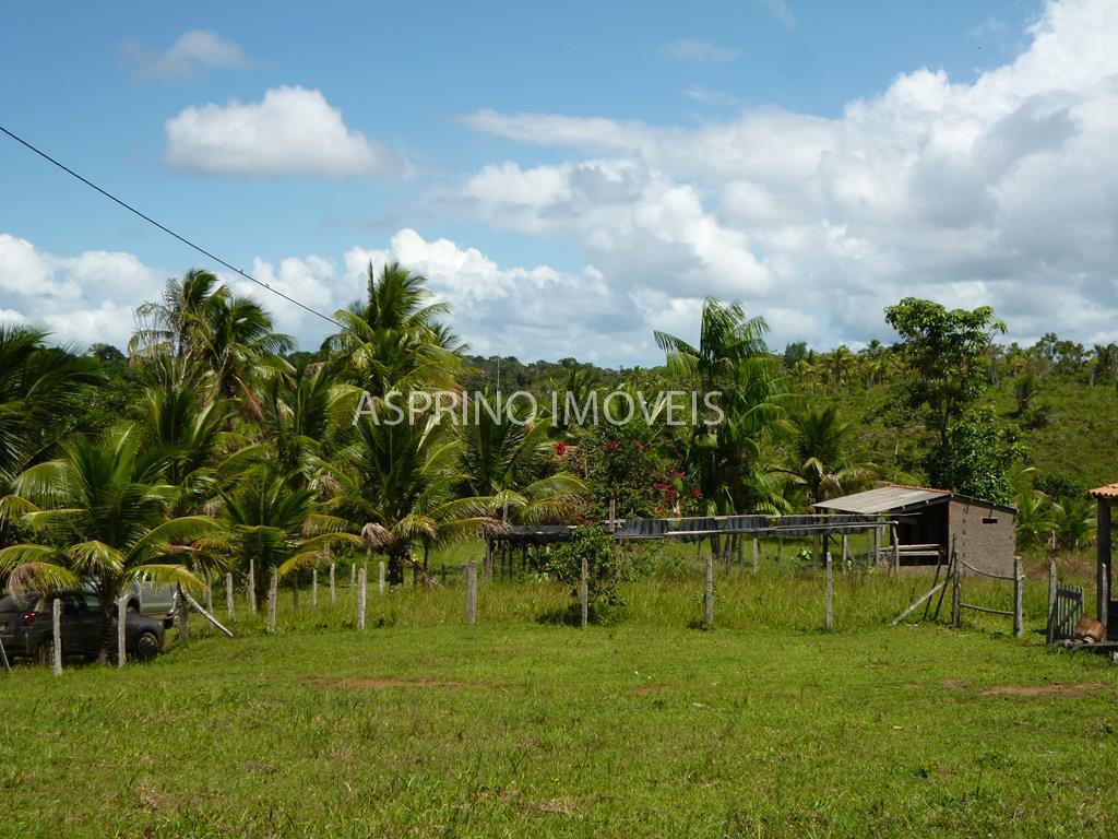 Fazenda, 183 hectares - Foto 20