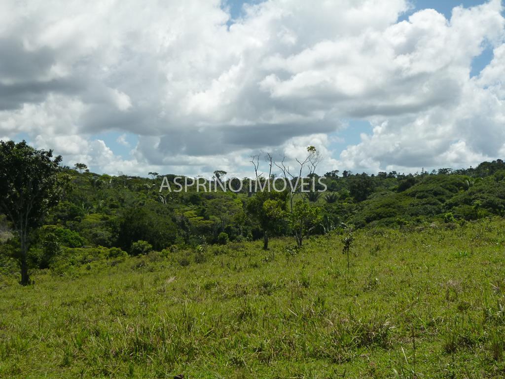 Fazenda, 183 hectares - Foto 12