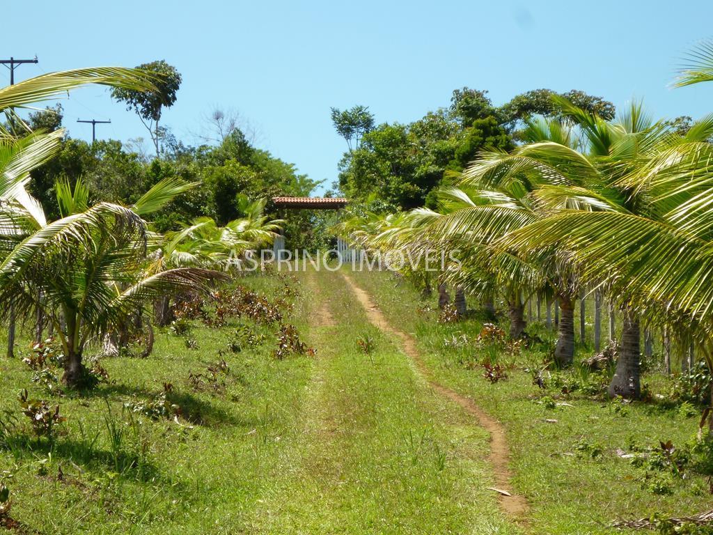 Fazenda, 183 hectares - Foto 15