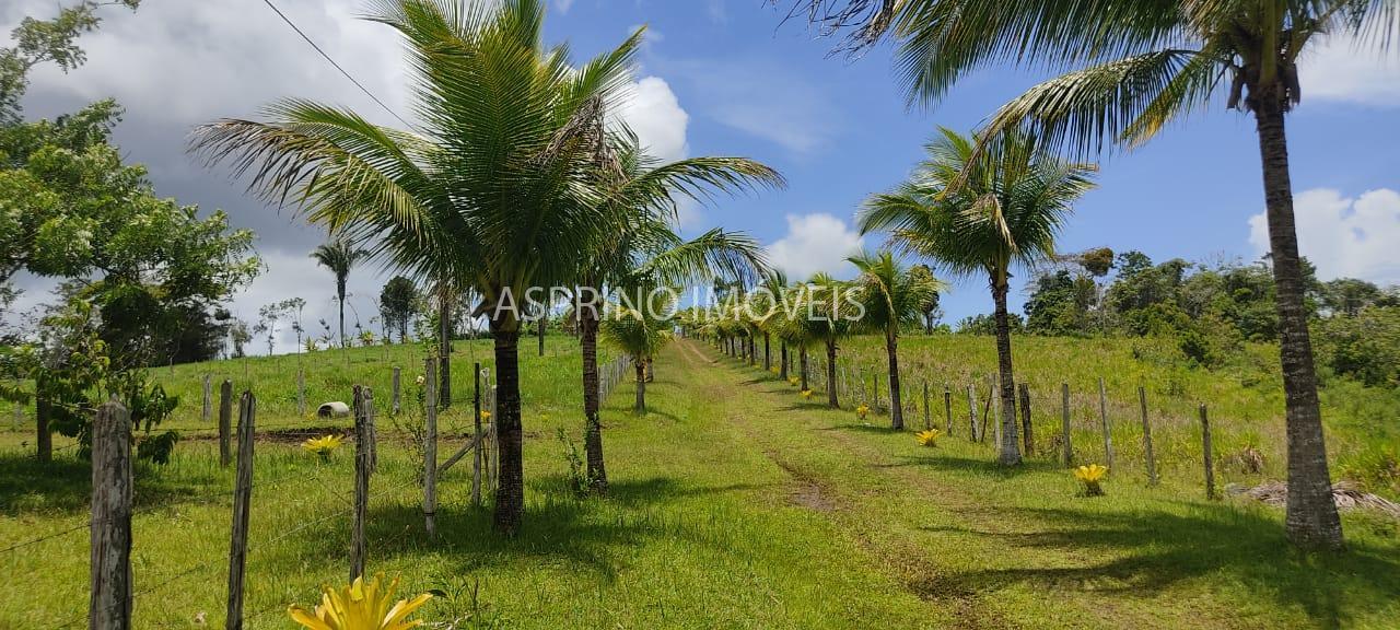 Fazenda, 183 hectares - Foto 16