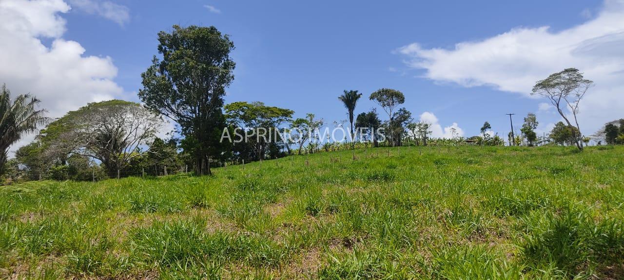 Fazenda, 183 hectares - Foto 19