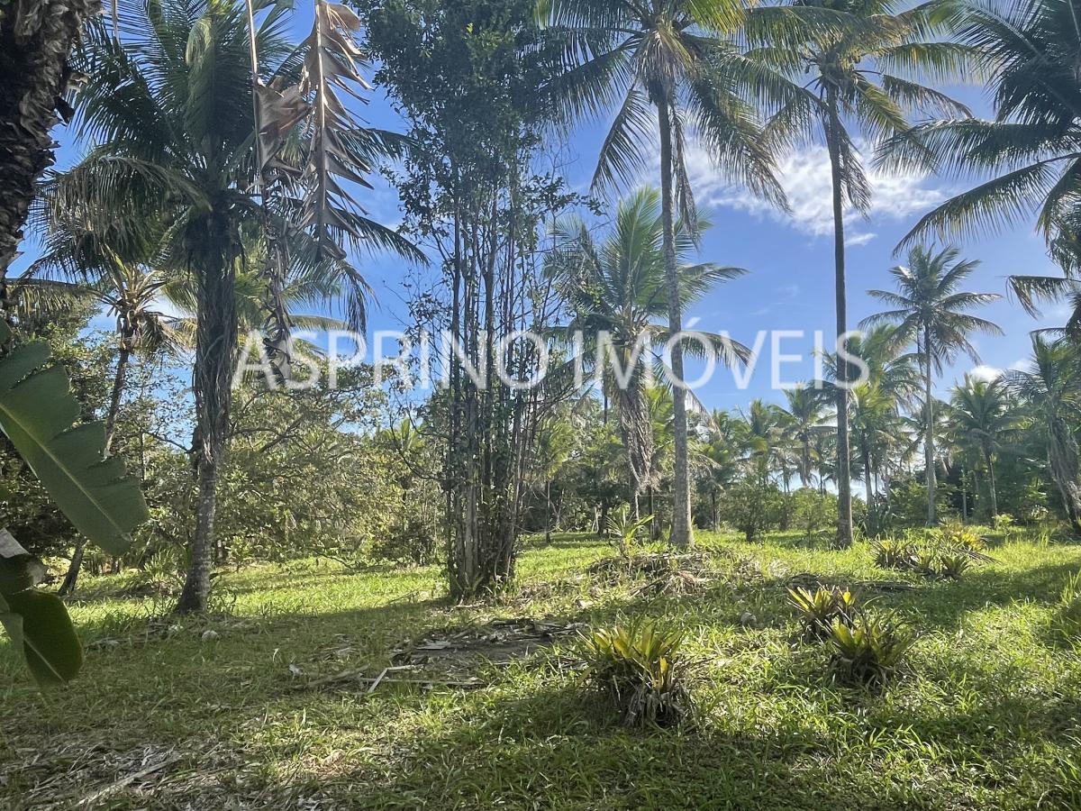 Terreno à venda, 60000m² - Foto 4