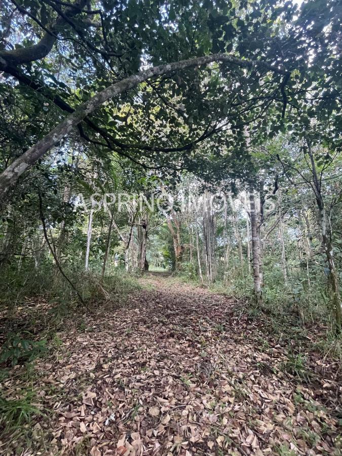 Terreno à venda, 60000m² - Foto 11