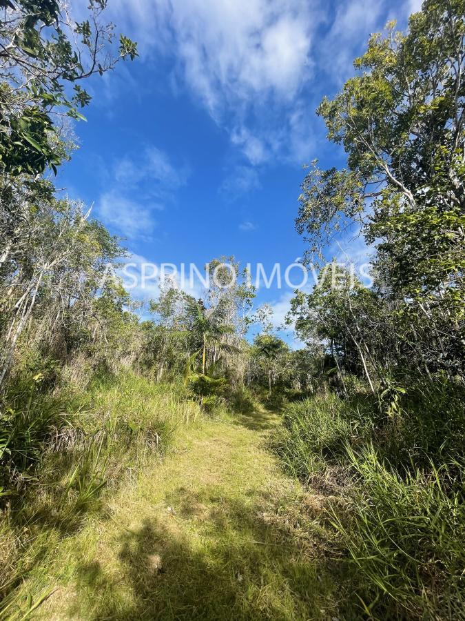 Terreno à venda, 60000m² - Foto 8