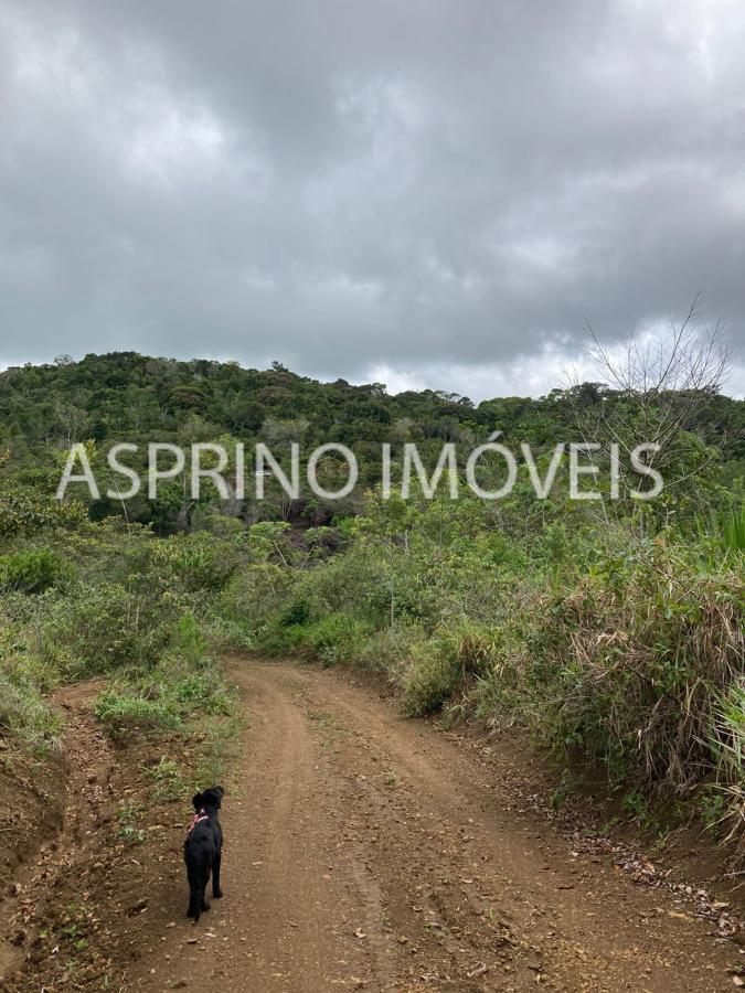 Sítio à venda, 210000m² - Foto 12