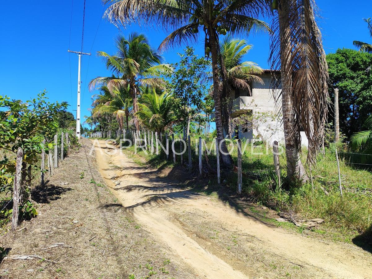 Sítio à venda com 2 quartos, 20000m² - Foto 20