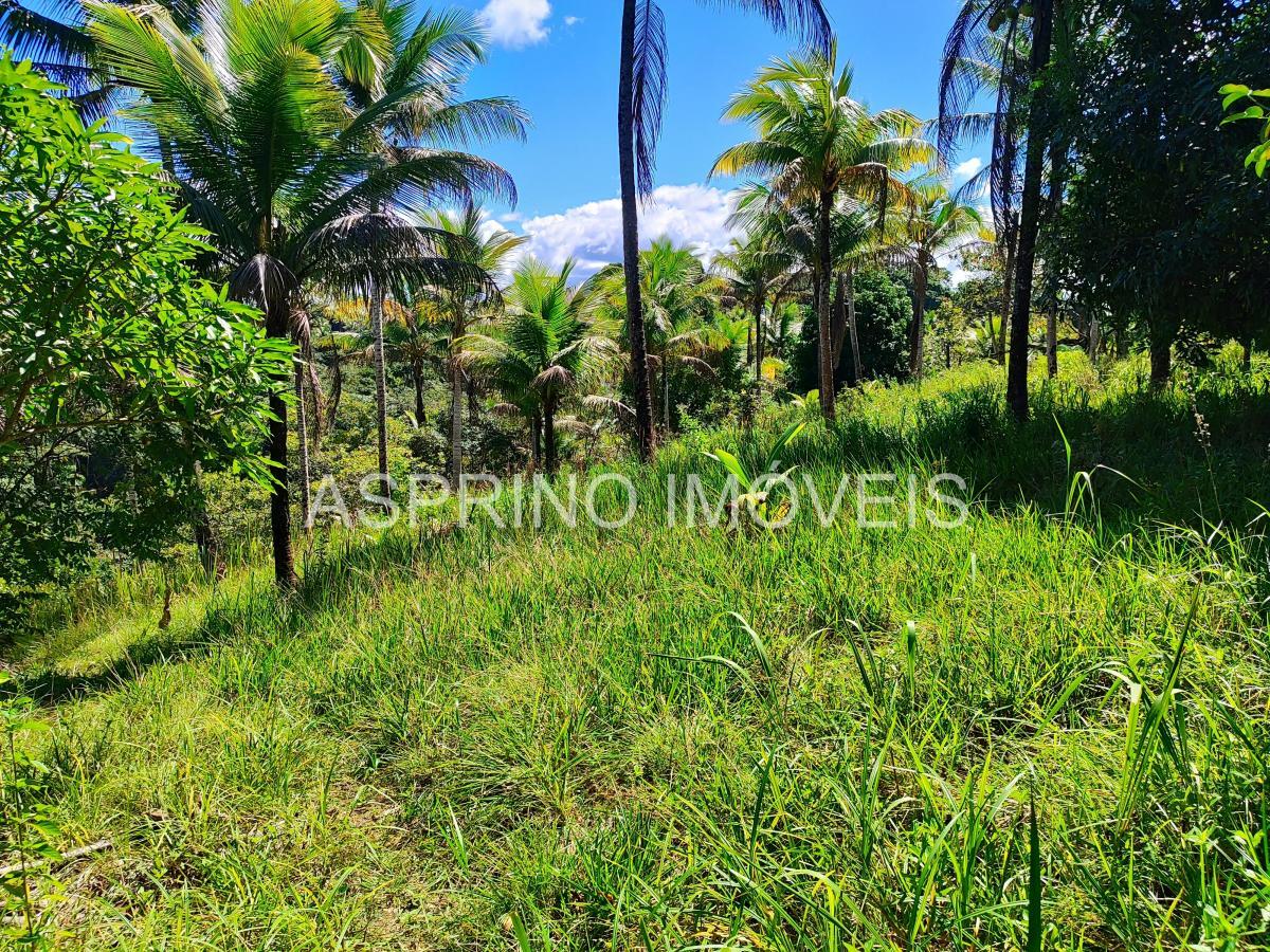 Sítio à venda com 2 quartos, 20000m² - Foto 15