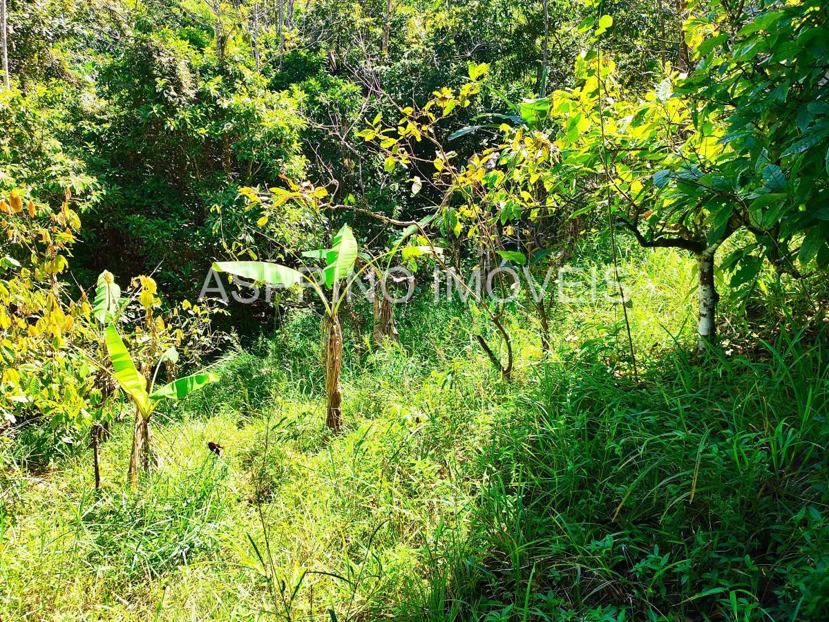 Sítio à venda com 2 quartos, 20000m² - Foto 16