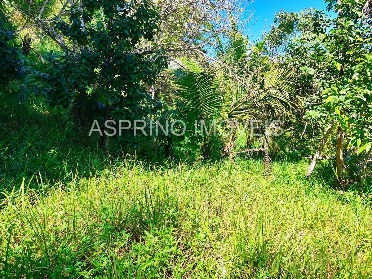 Sítio à venda com 2 quartos, 20000m² - Foto 17