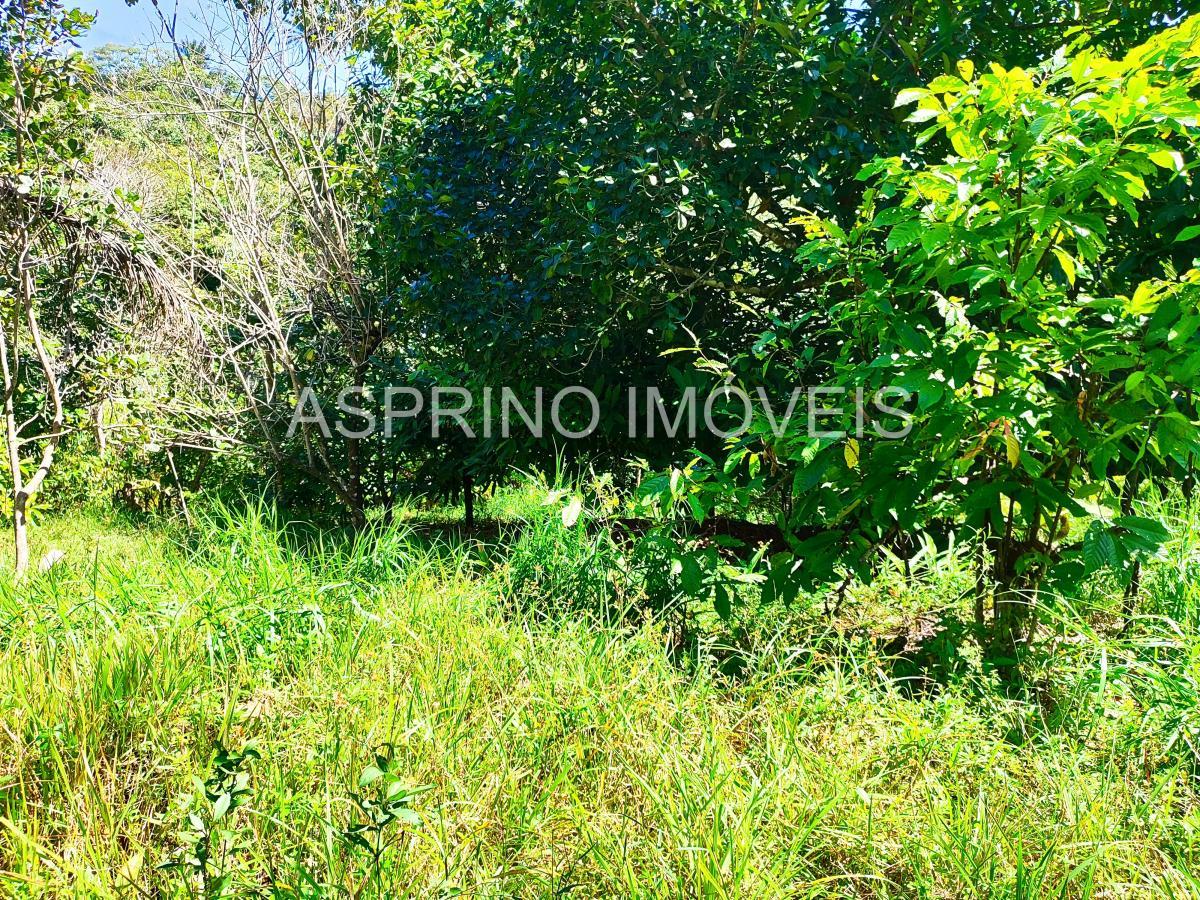 Sítio à venda com 2 quartos, 20000m² - Foto 18
