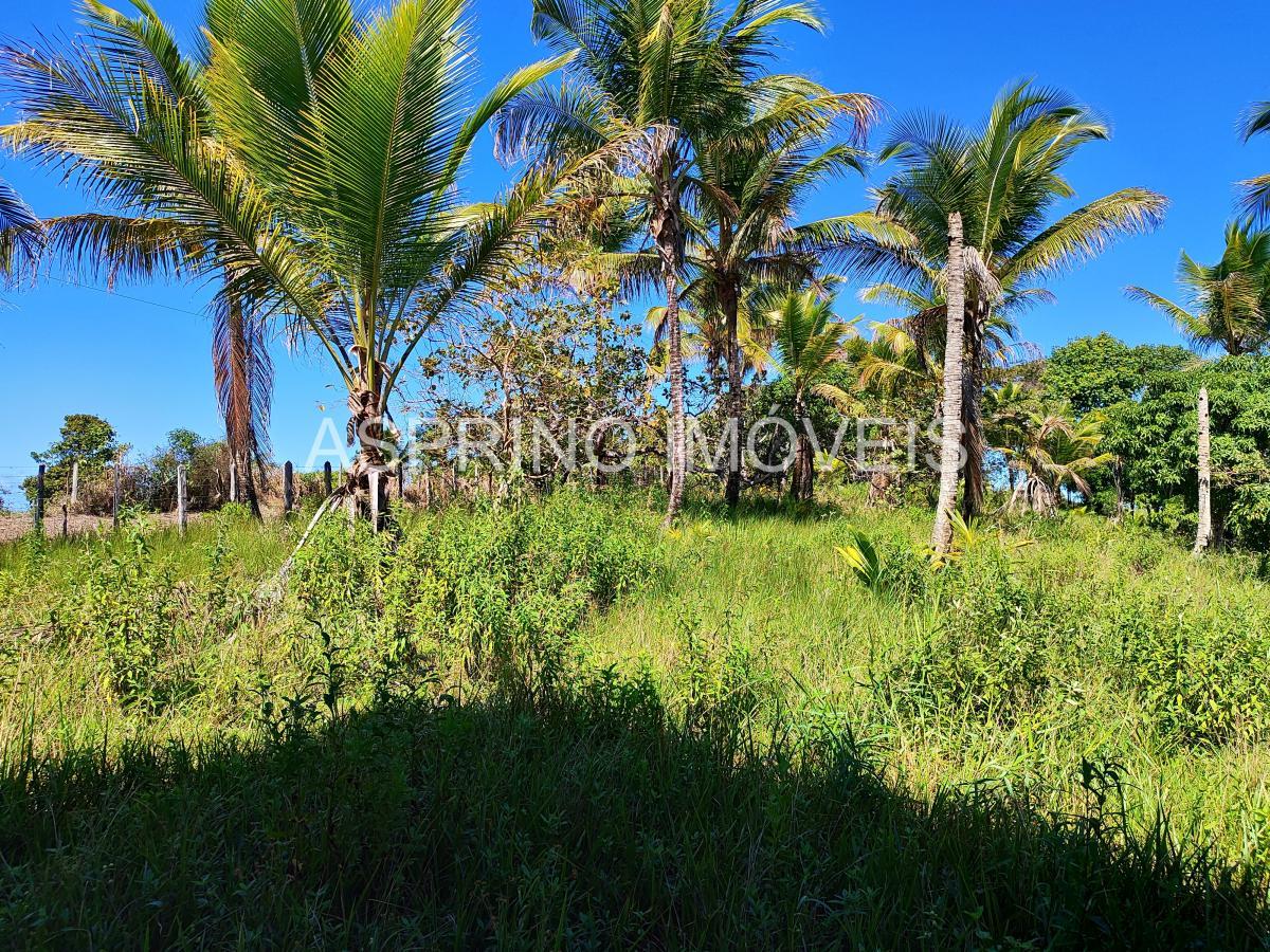 Sítio à venda com 2 quartos, 20000m² - Foto 19