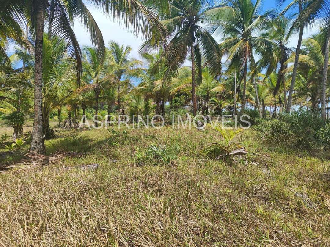 Terreno, 14 hectares - Foto 14