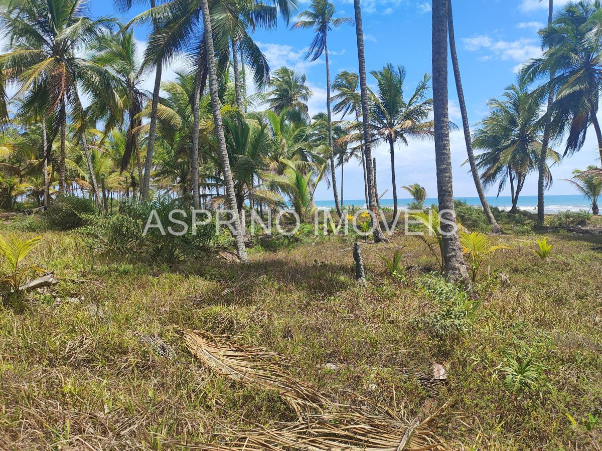 Terreno, 14 hectares - Foto 15