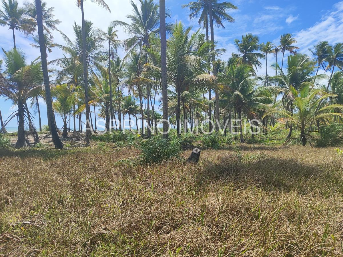 Terreno, 14 hectares - Foto 16