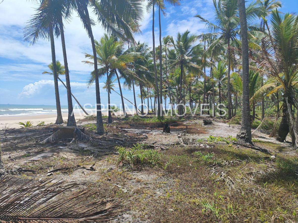 Terreno, 14 hectares - Foto 12