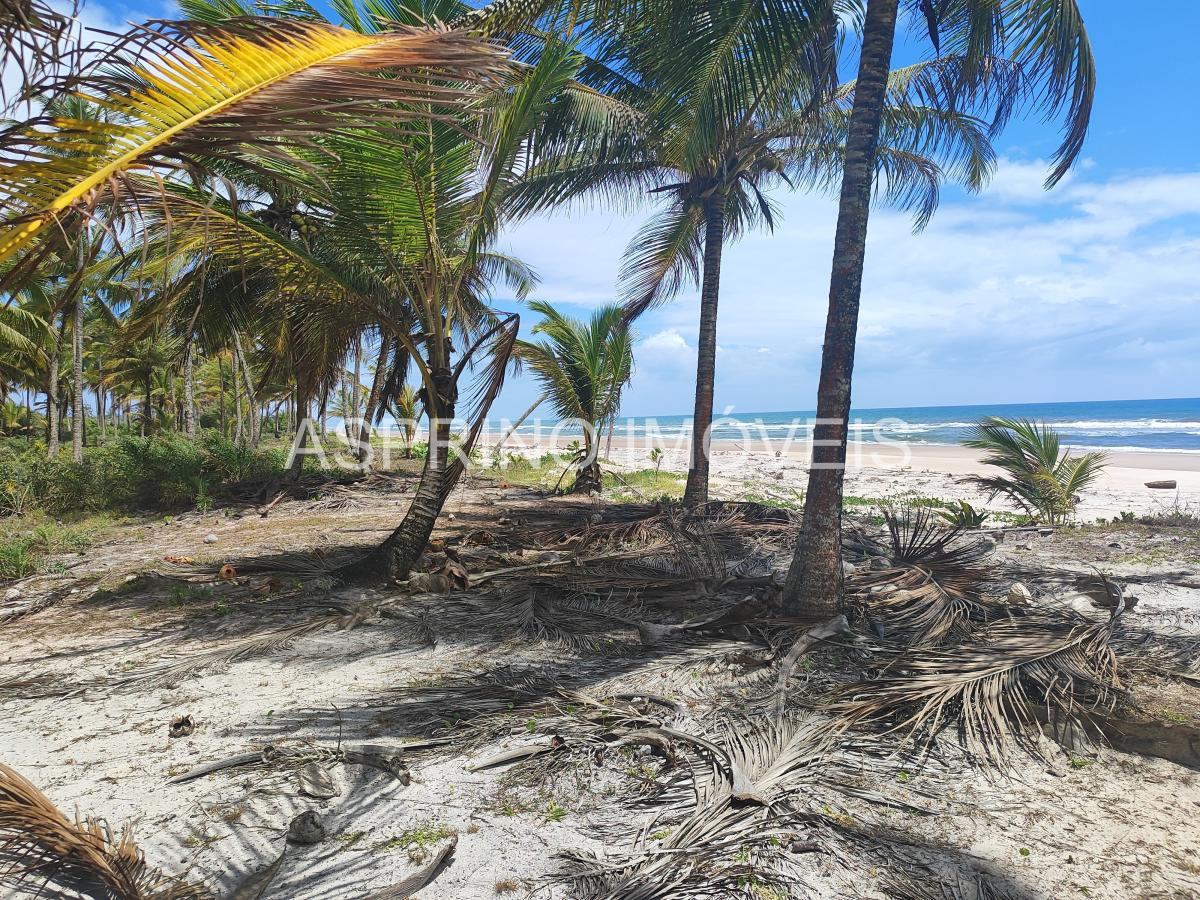 Terreno, 14 hectares - Foto 11