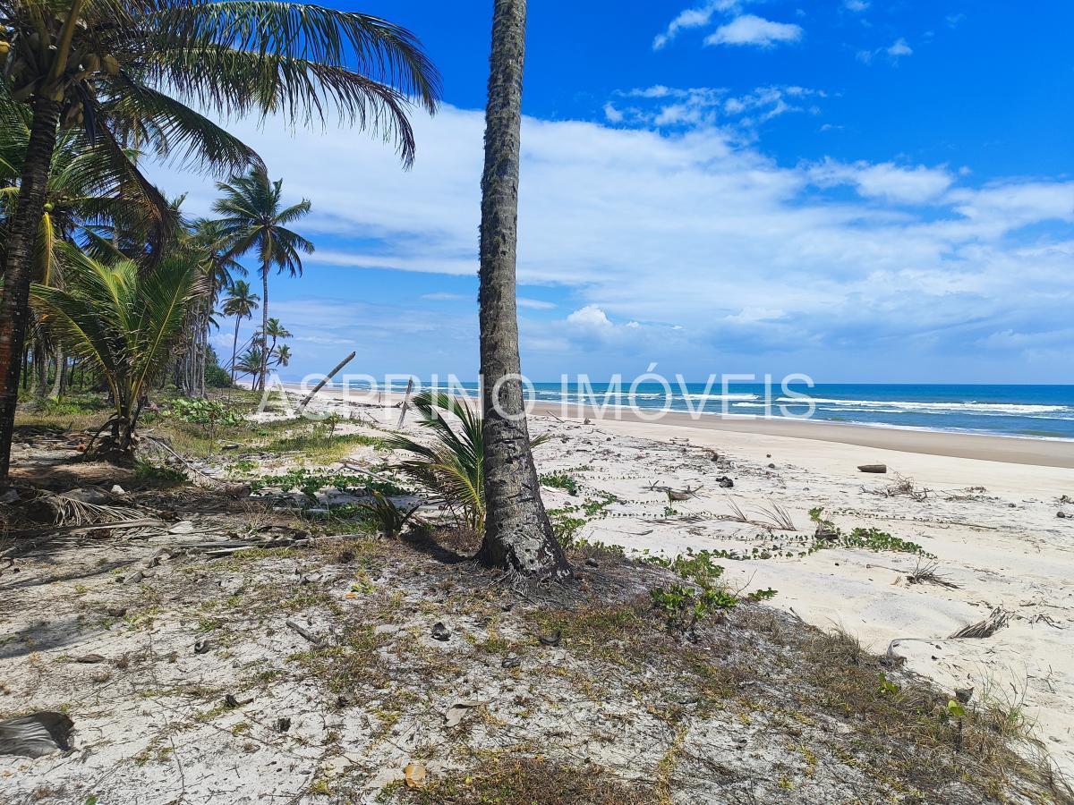 Terreno, 14 hectares - Foto 10