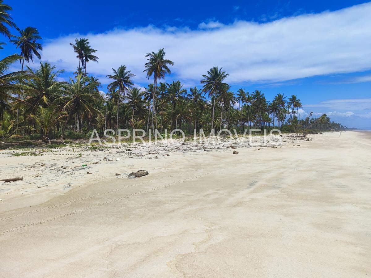 Terreno, 14 hectares - Foto 9