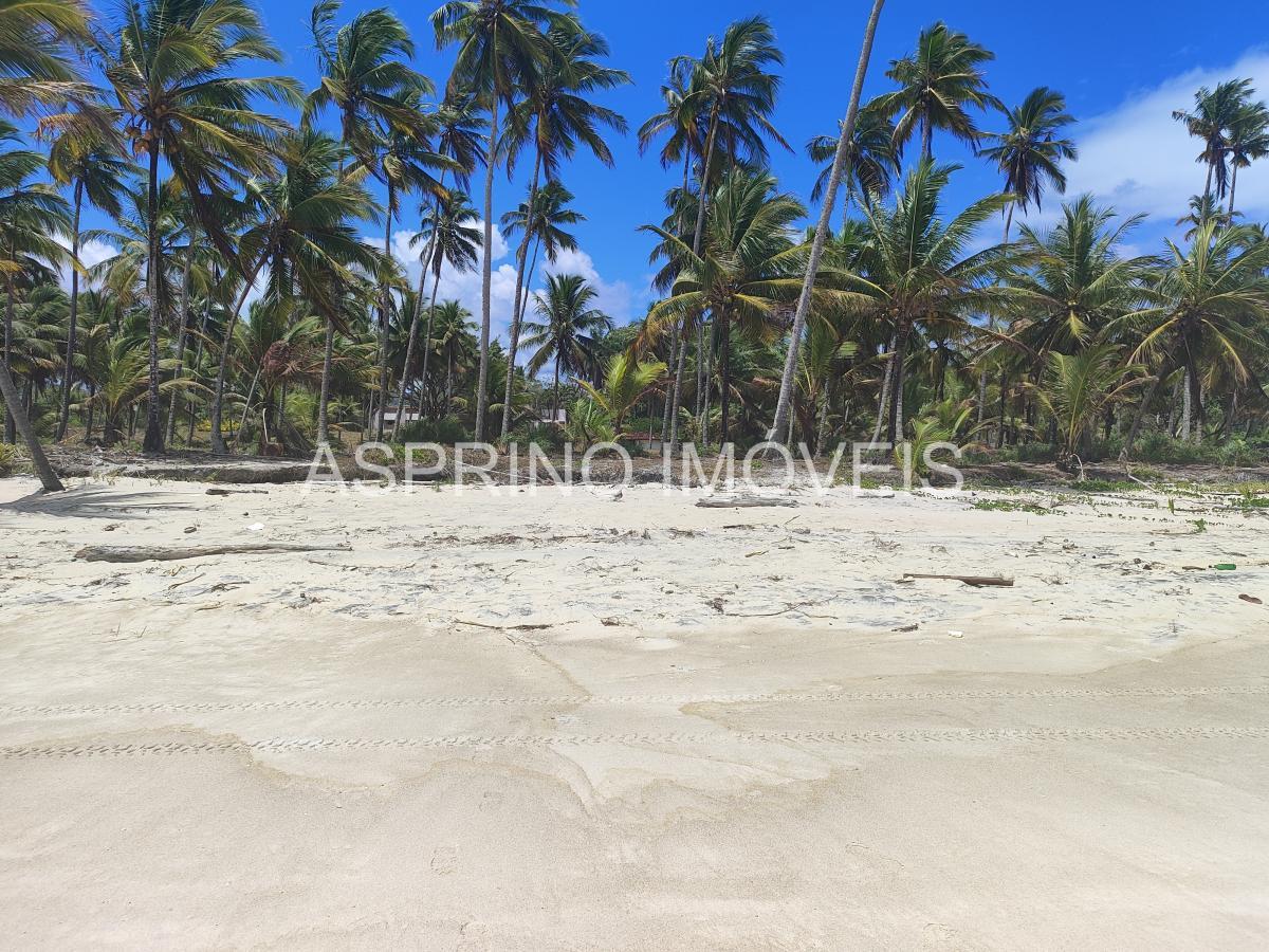 Terreno, 14 hectares - Foto 8