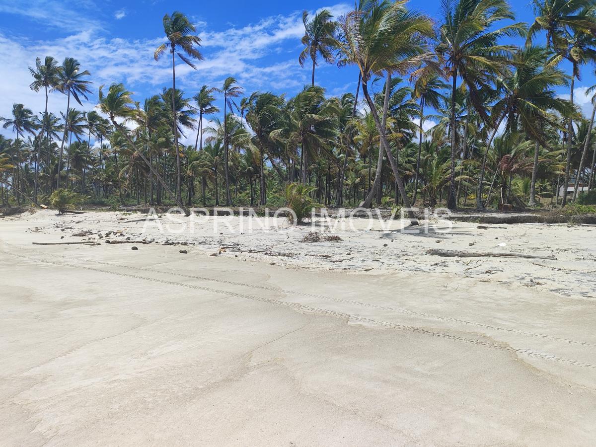 Terreno, 14 hectares - Foto 7