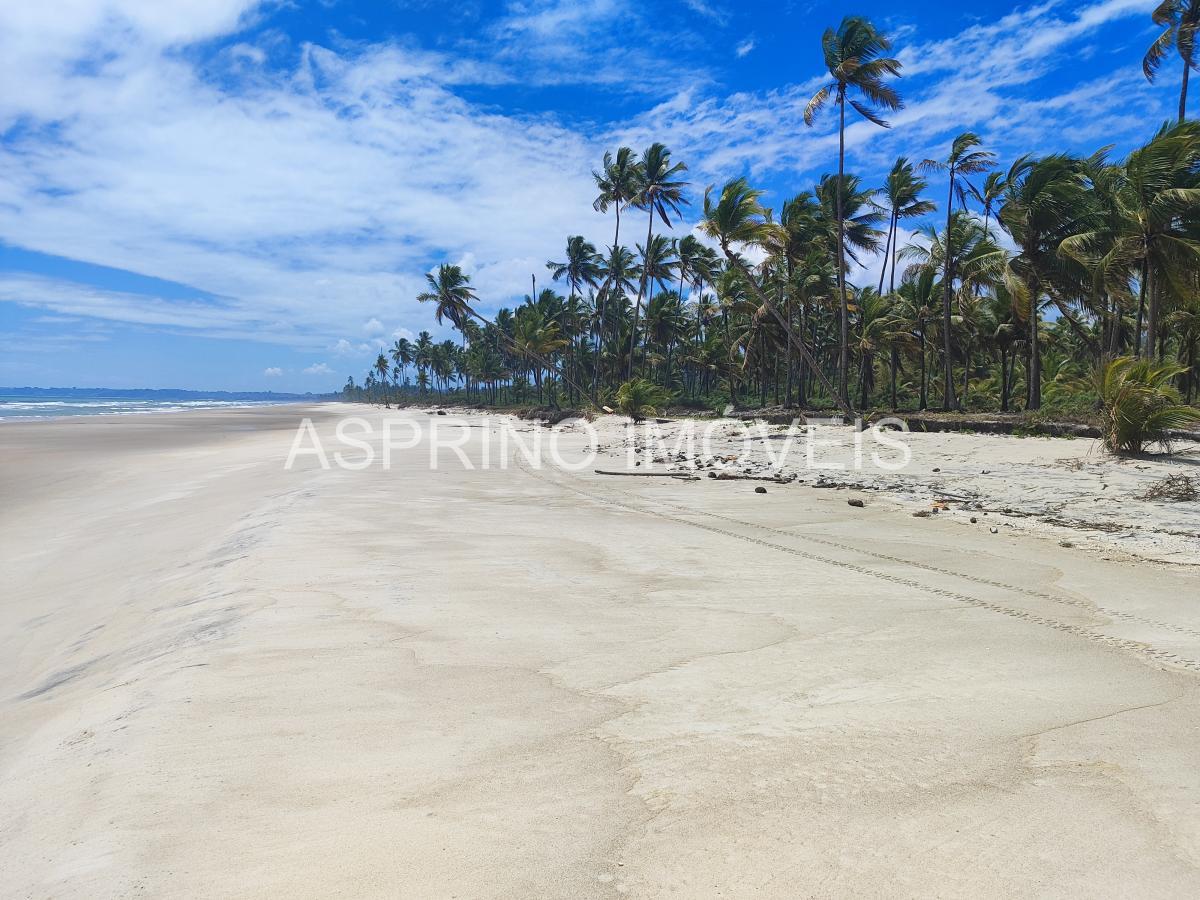 Terreno, 14 hectares - Foto 6