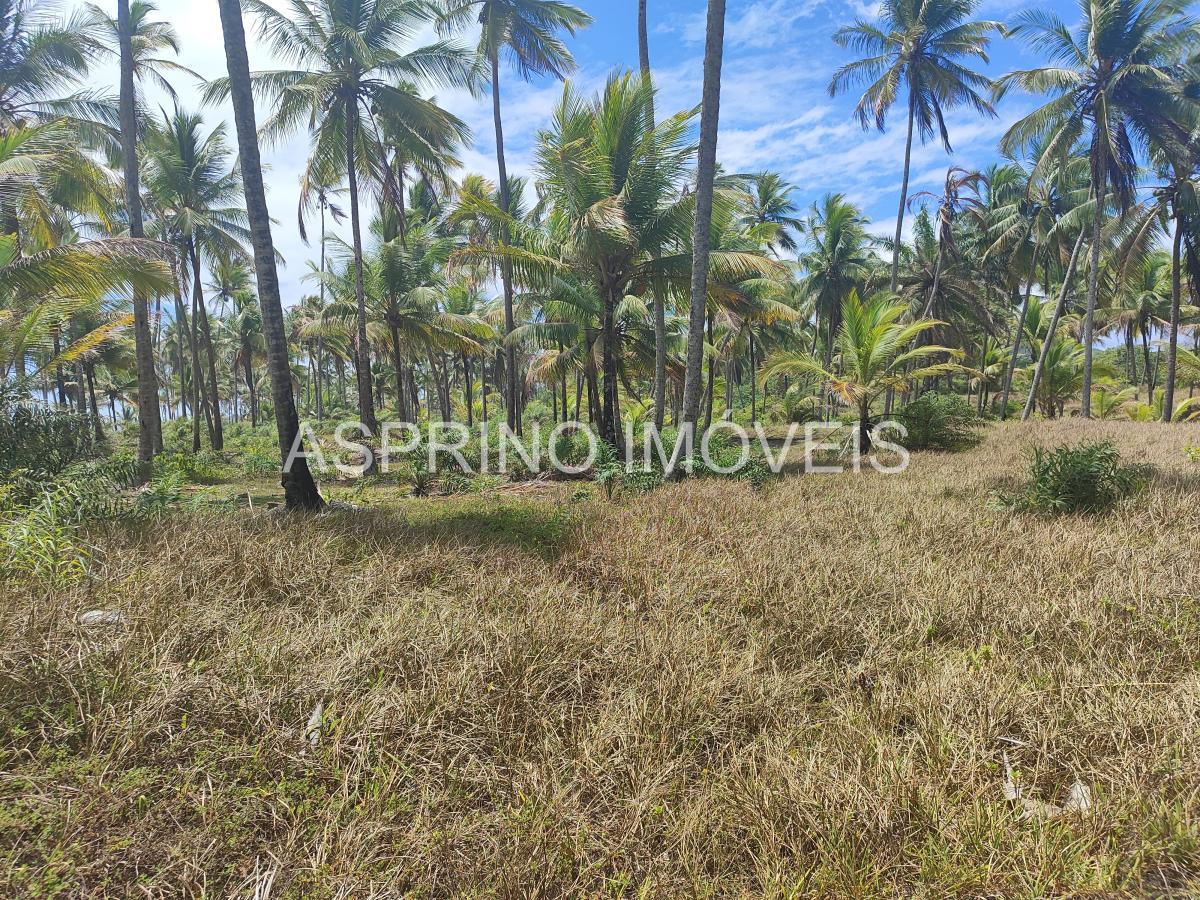 Terreno, 14 hectares - Foto 18