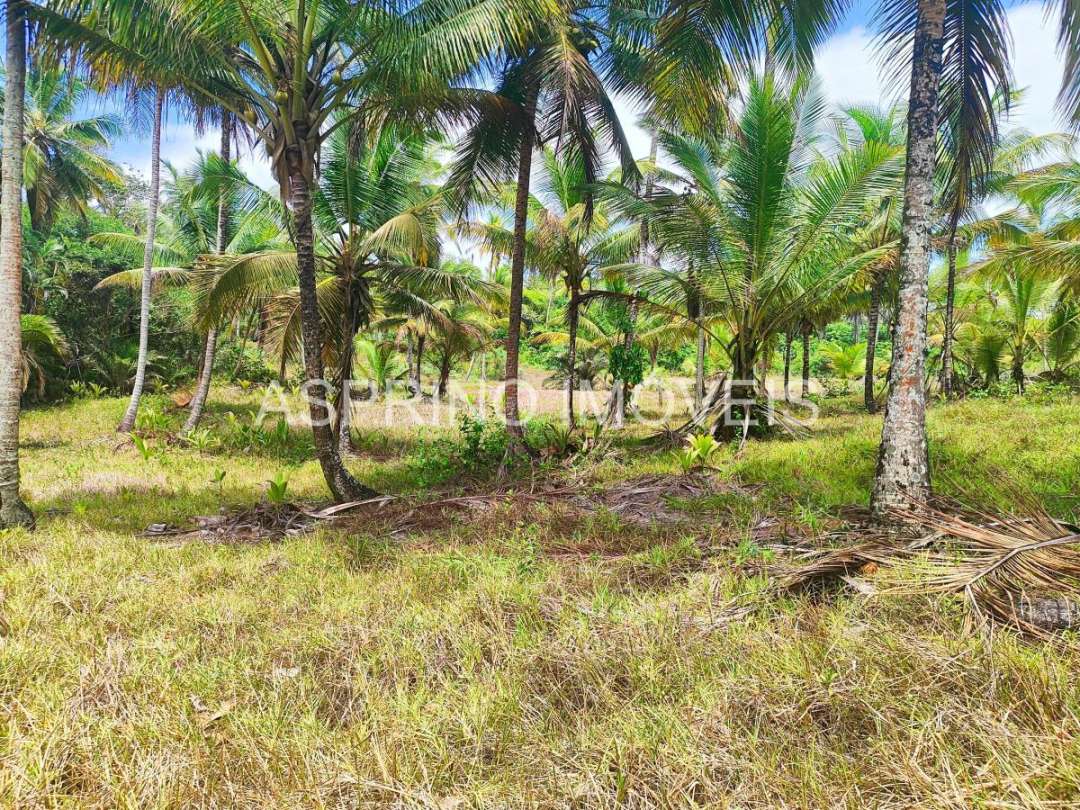 Terreno, 14 hectares - Foto 20