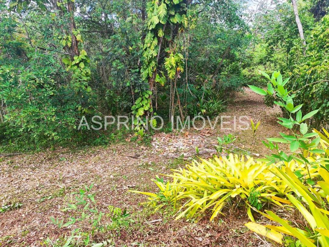 Terreno, 14 hectares - Foto 24