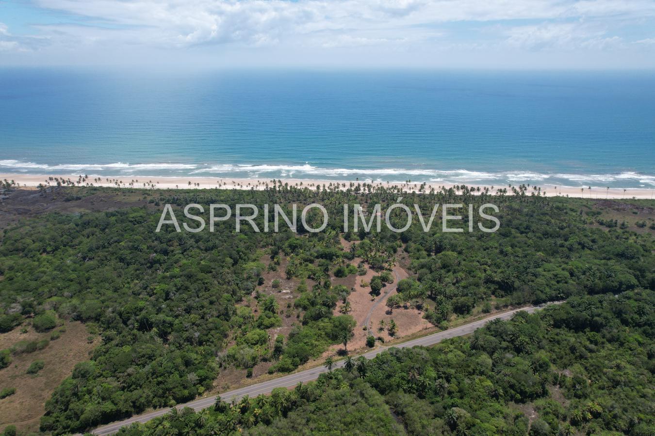 Terreno, 14 hectares - Foto 1