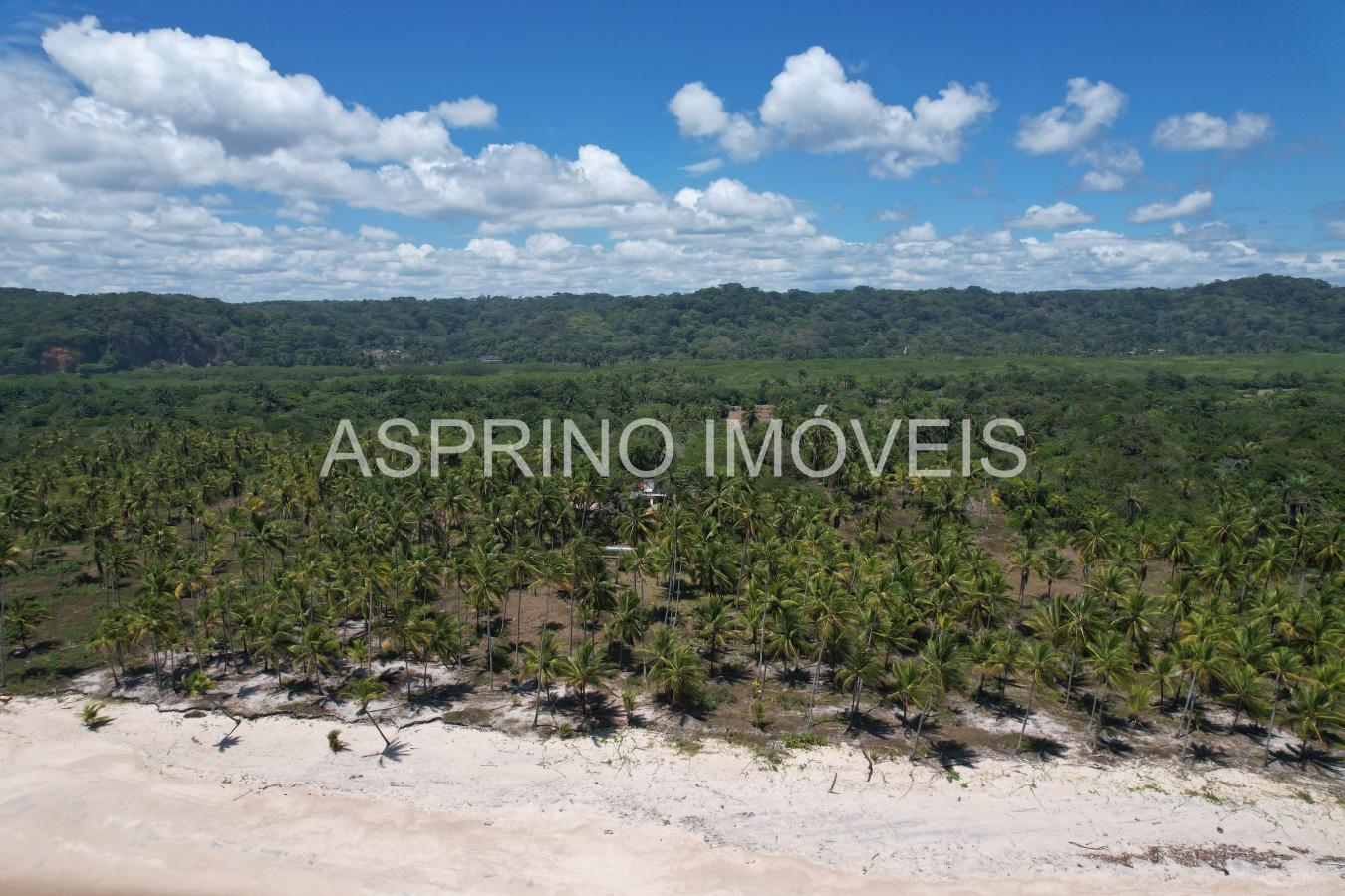 Terreno, 14 hectares - Foto 2