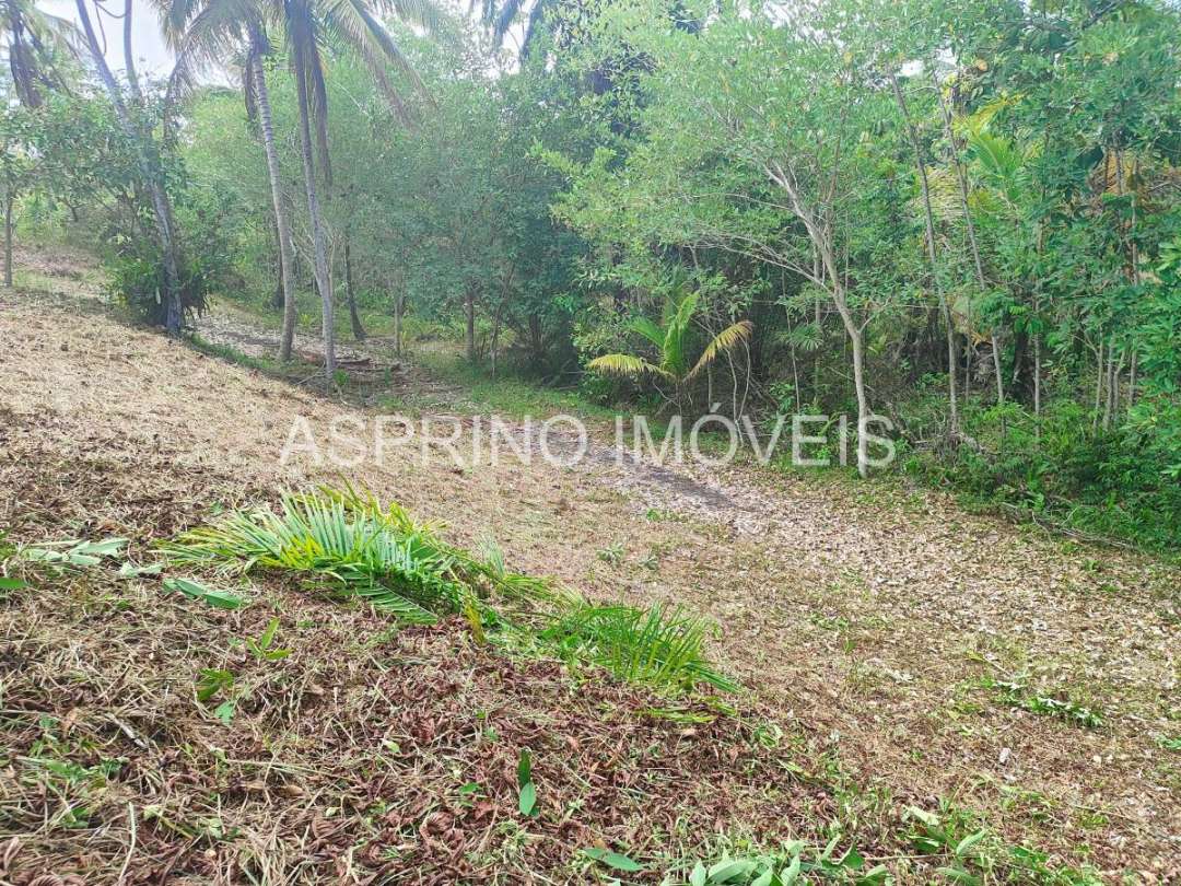 Terreno, 14 hectares - Foto 22