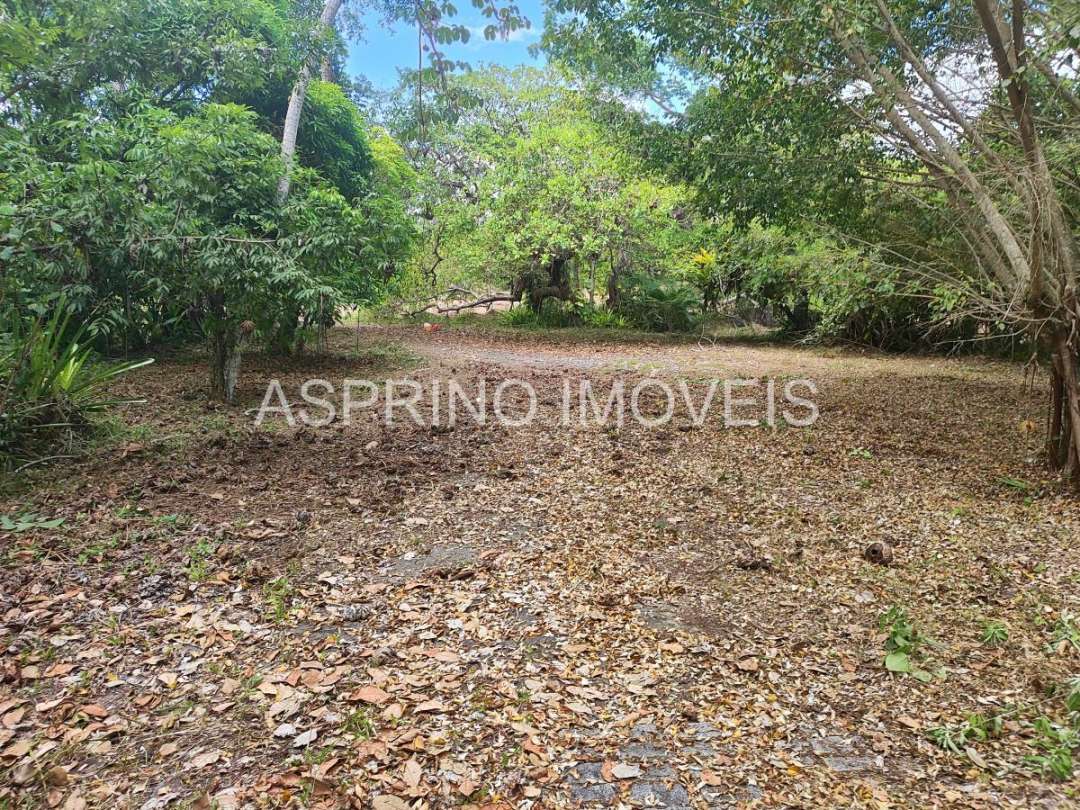 Terreno, 14 hectares - Foto 23