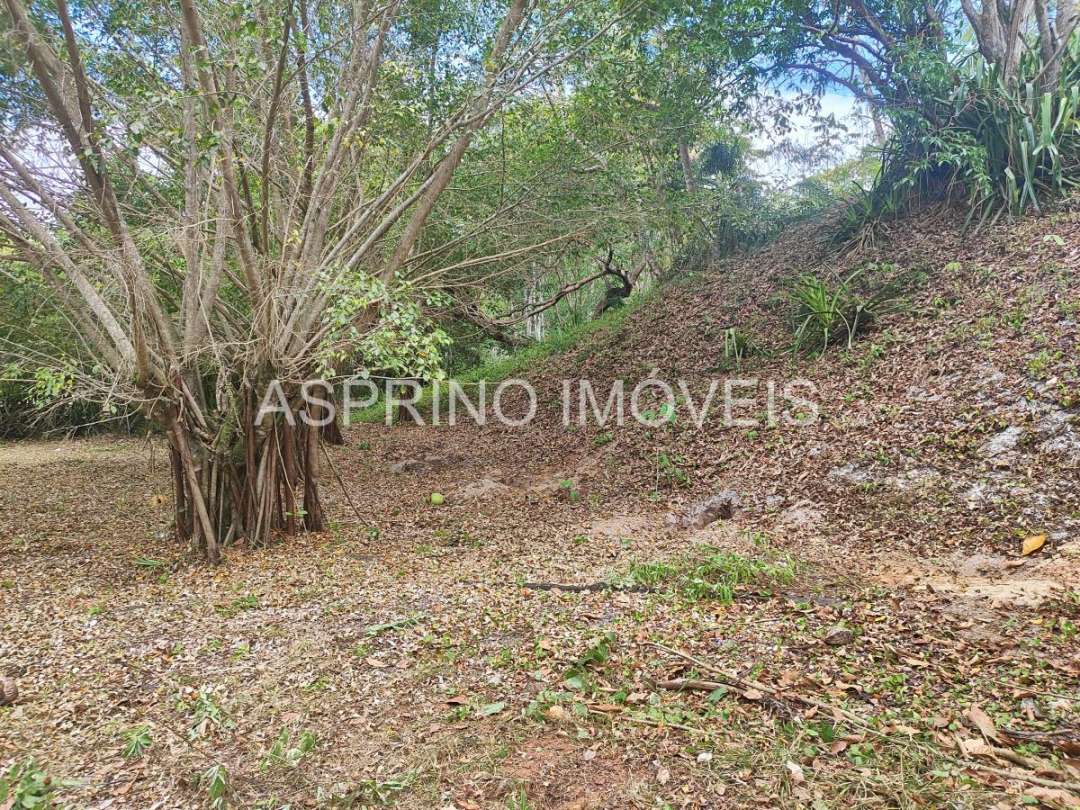 Terreno, 14 hectares - Foto 21