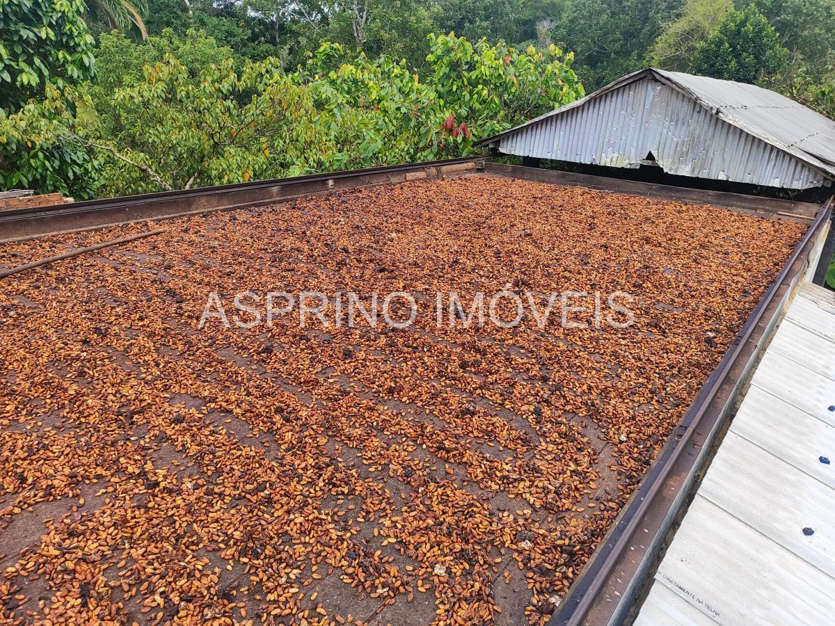 Fazenda à venda, 25m² - Foto 4