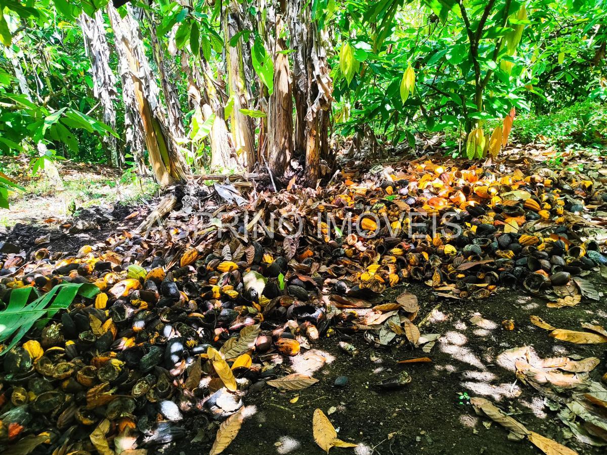 Fazenda à venda, 25m² - Foto 18