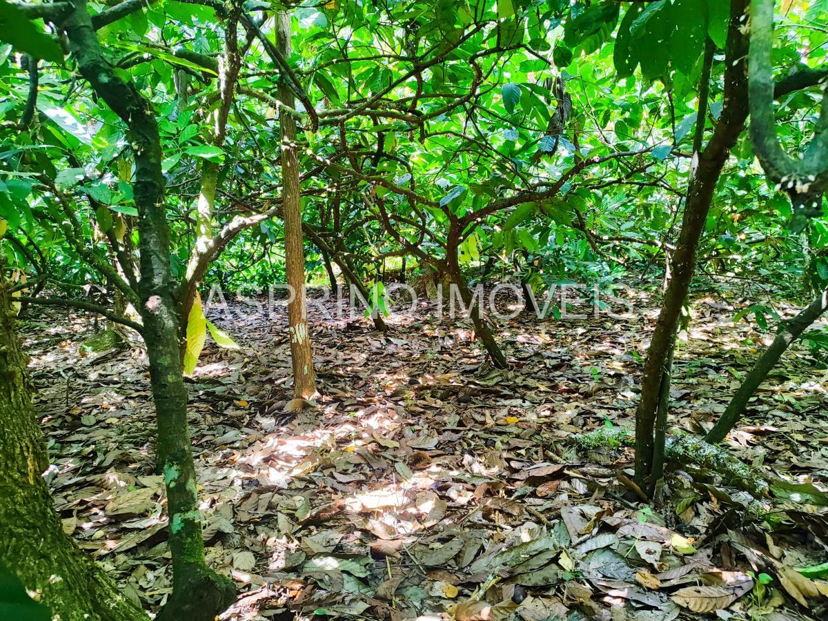 Fazenda à venda, 25m² - Foto 7