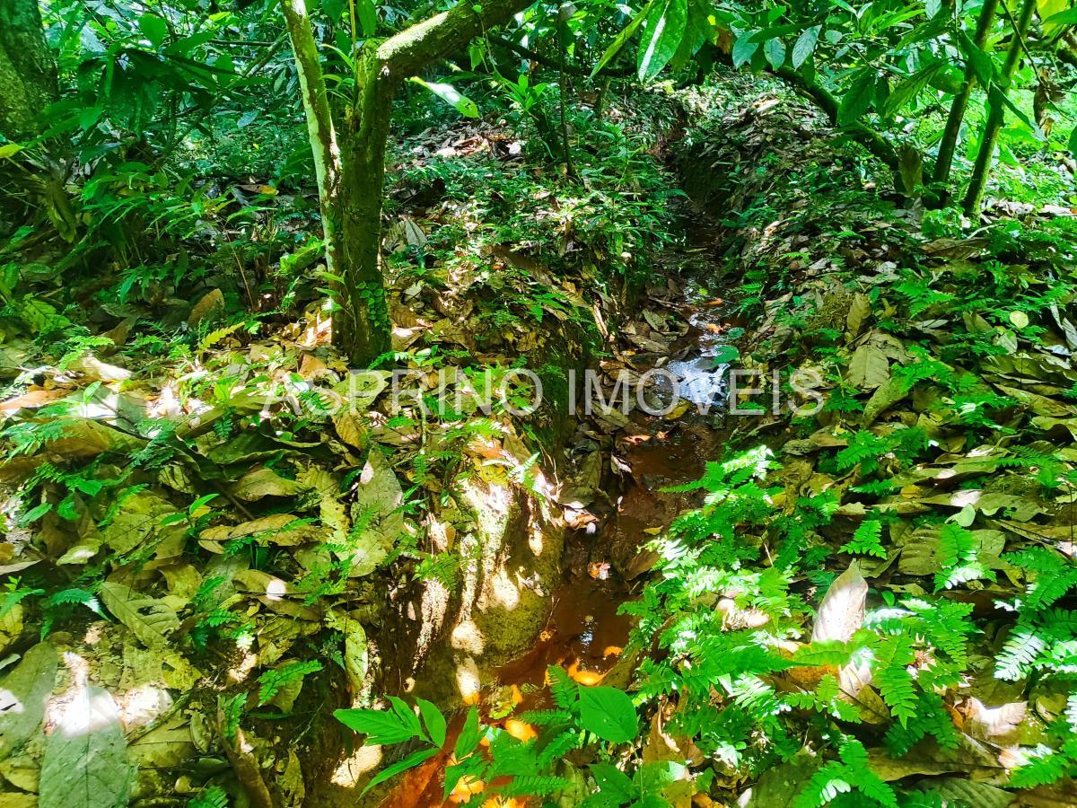 Fazenda à venda, 25m² - Foto 8