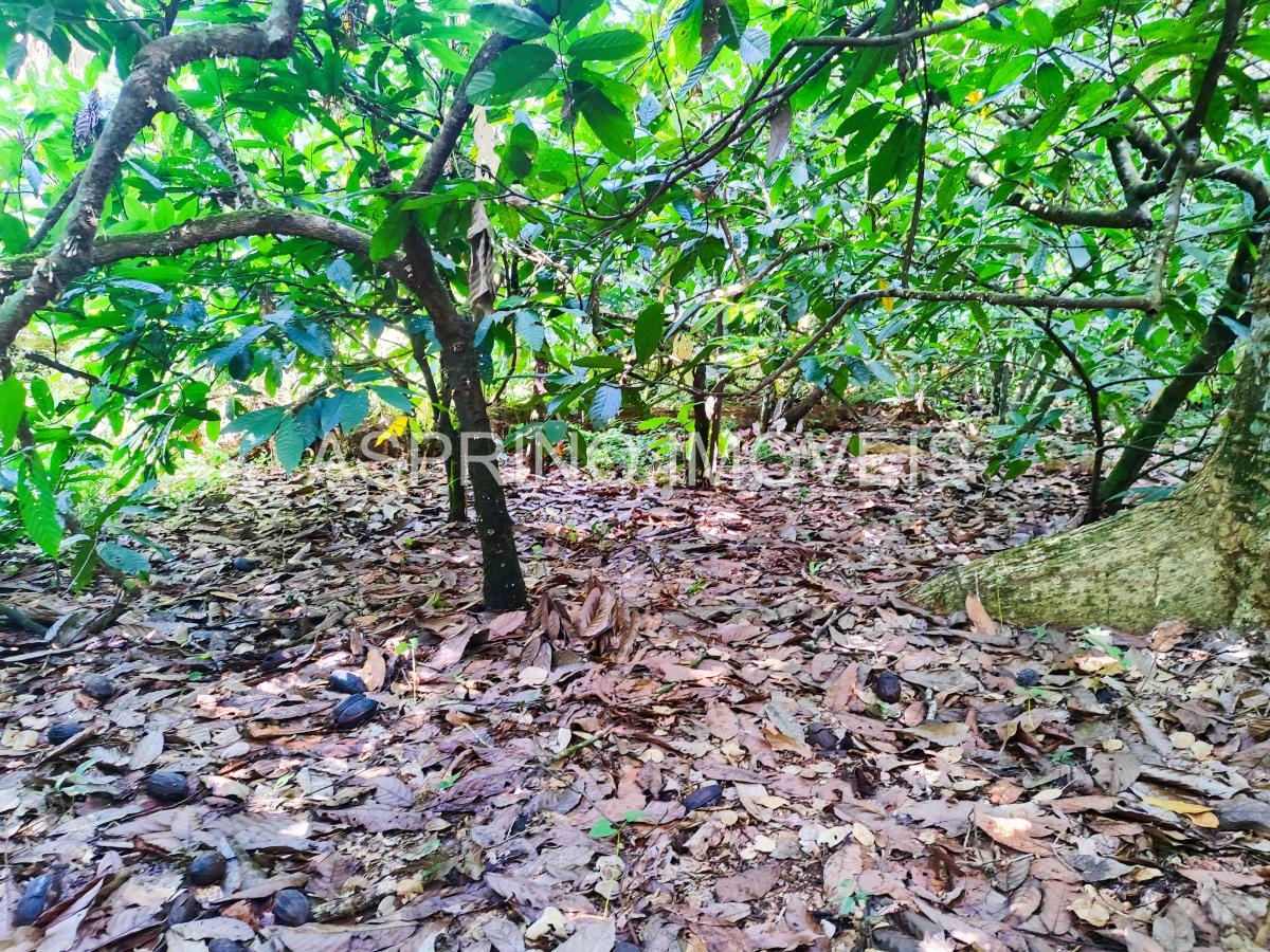 Fazenda à venda, 25m² - Foto 10
