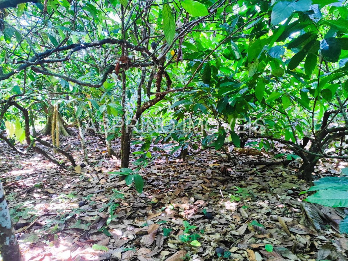 Fazenda à venda, 25m² - Foto 11