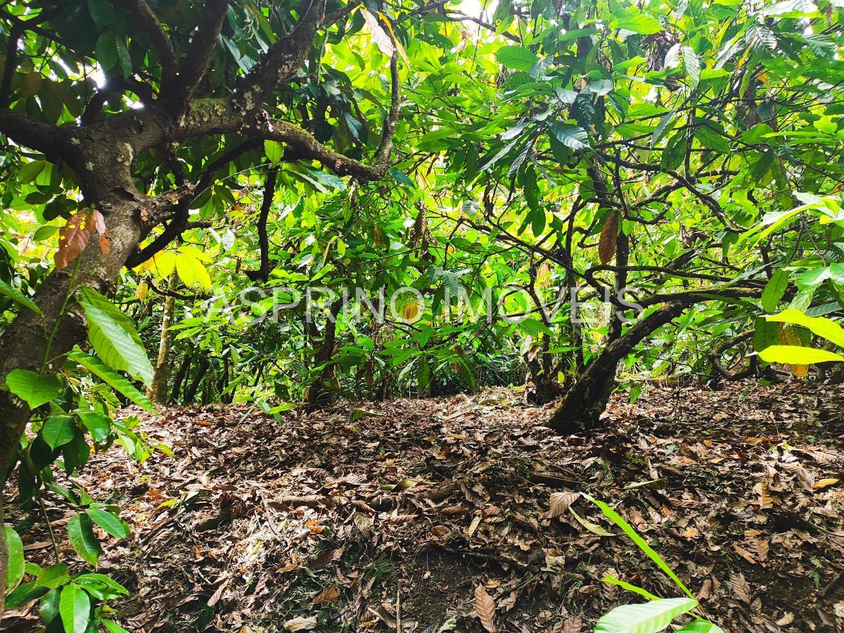 Fazenda à venda, 25m² - Foto 13