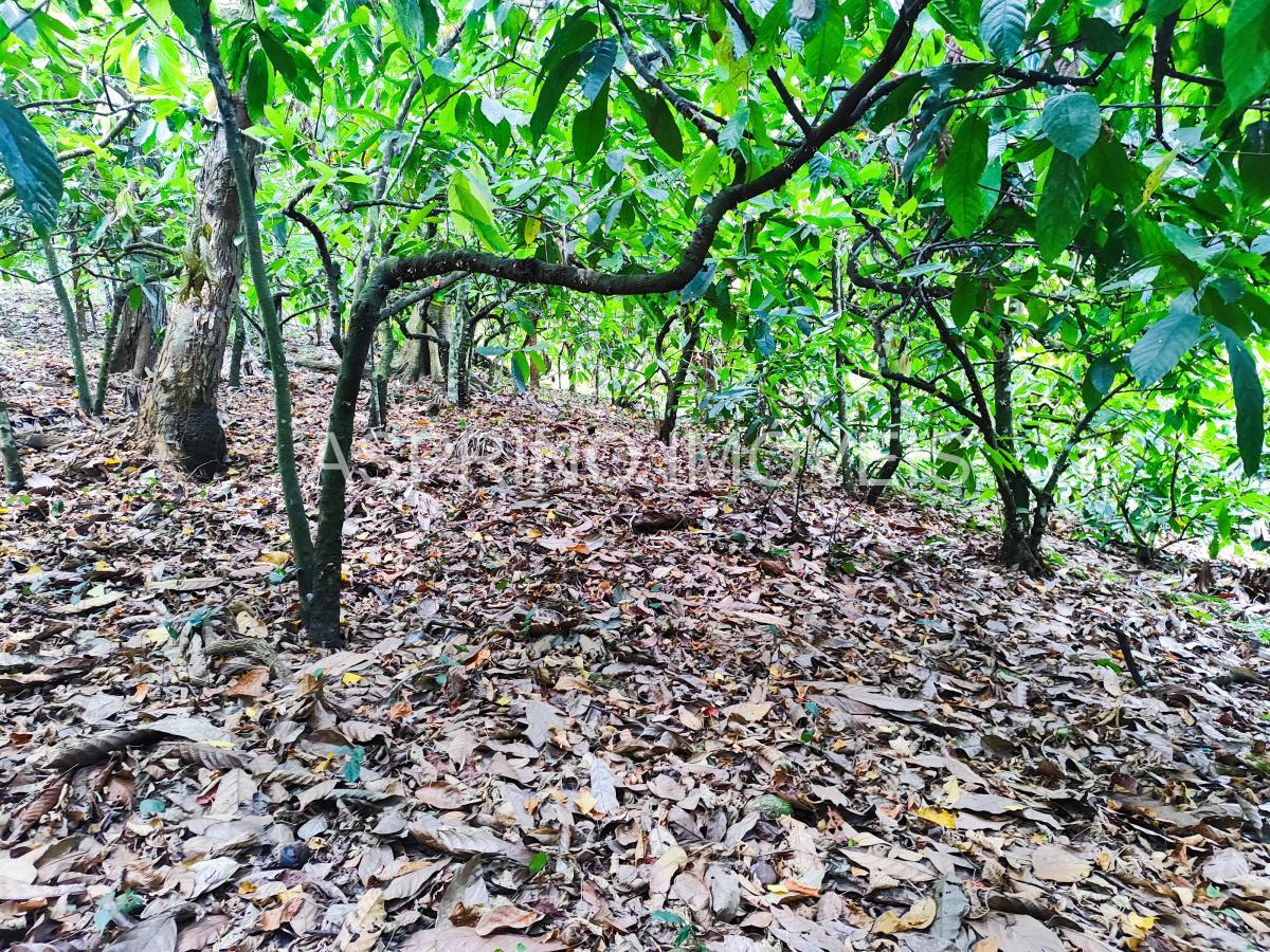 Fazenda à venda, 25m² - Foto 16