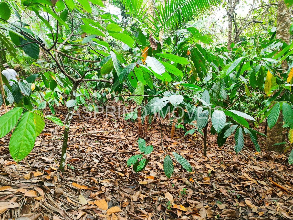 Fazenda à venda, 25m² - Foto 17