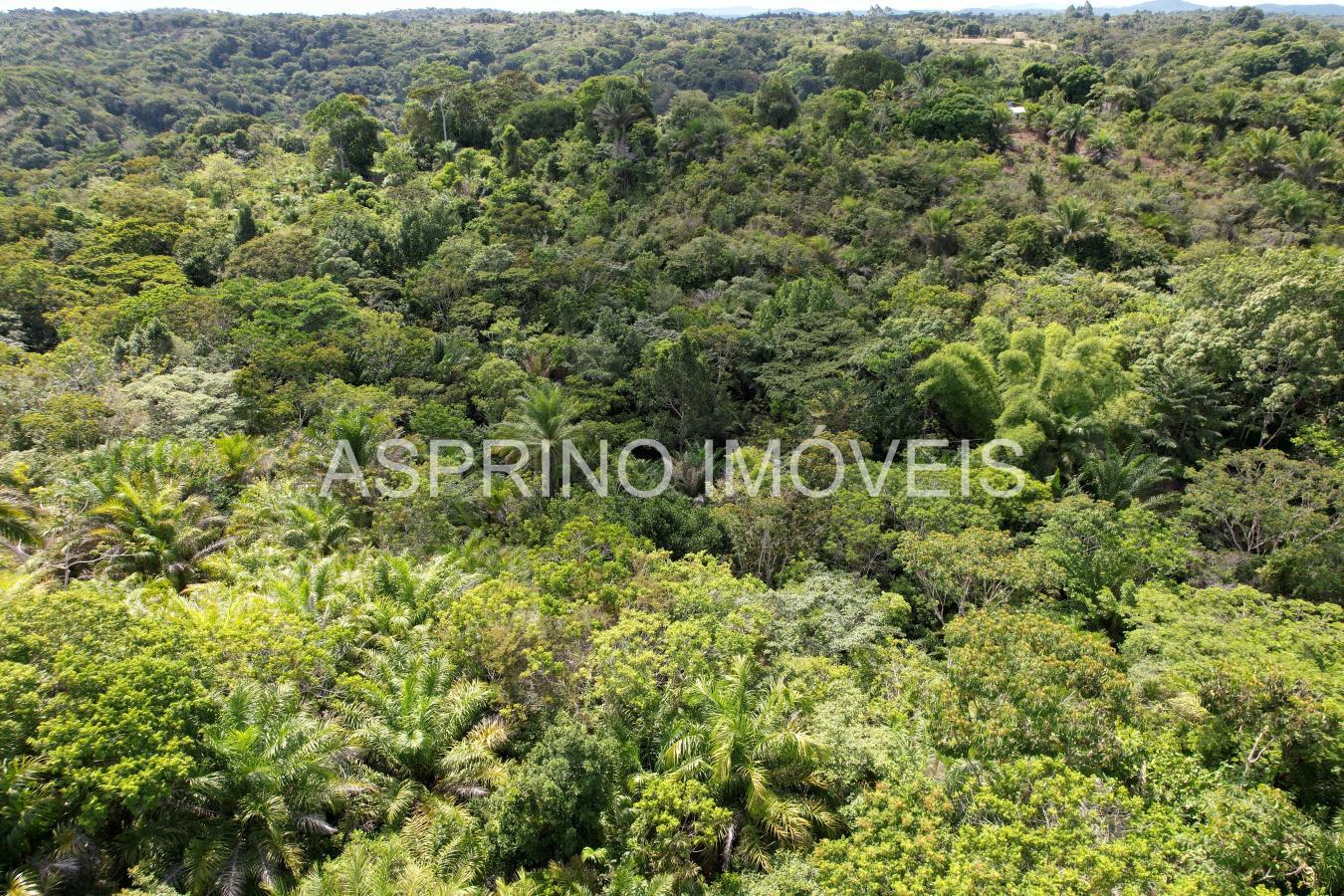 Sítio à venda, 18m² - Foto 20